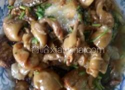 鱼肚炖带鱼