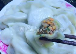 羊肉胡萝卜饺子