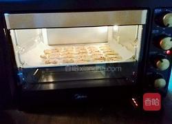 蔓越莓饼干的做法图解10