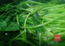 凉拌菠菜的做法图解2