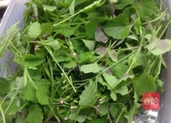 野生蒲公英肉丸子汤的做法图解1