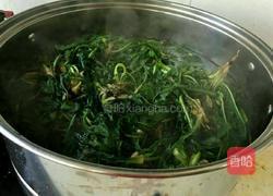 蒜茸拌蒲公英的做法图解4