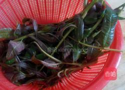 香椿拌豆腐的做法图解3
