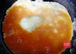 西红柿炒鸡蛋的做法图解5