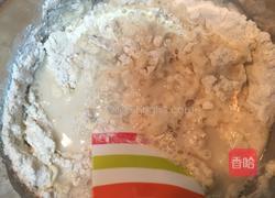 口袋面包（Pitta皮塔饼）的做法图解1