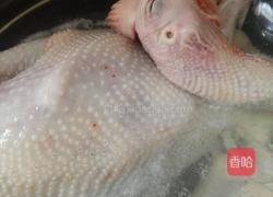 白切鸡的做法图解2
