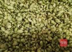 发黄豆青豆芽的做法图解3
