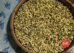 发黄豆青豆芽的做法图解2