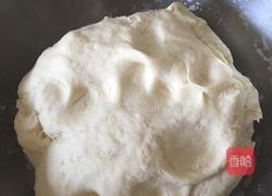 韭菜瘦肉水饺的做法图解2