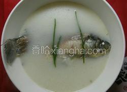 清炖鱼
