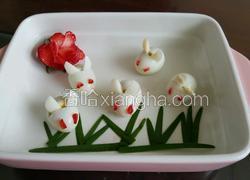 茕茕白兔 东走西顾