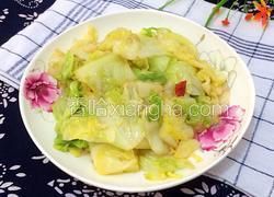 小炒圆白菜