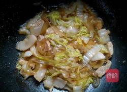 猪肉白菜炖粉条的做法图解10