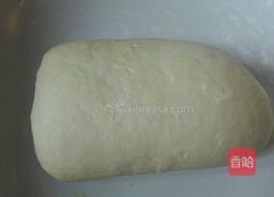 羊肉胡萝卜小混沌的做法图解1