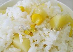 电饭煲骨汤土豆焖饭