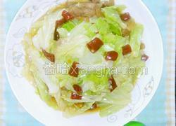手撕包心菜