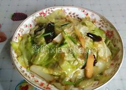 手撕包心菜