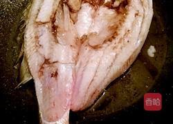 红烧鲈鱼的做法图解6