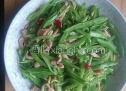 四季豆炒肉丝