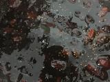 桂圆姜枣膏