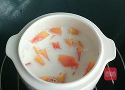 木瓜牛奶的做法图解4