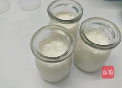 牛奶布丁的做法图解4