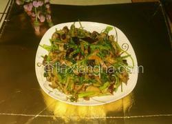 麻辣手撕茶树菇