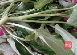 蒜蓉空心菜的做法图解1