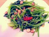 果仁菠菜