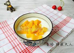 自制酸奶