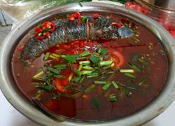红酸汤野生酸汤魚