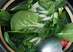 盐水蛤蜊煲小白菜的做法图解4
