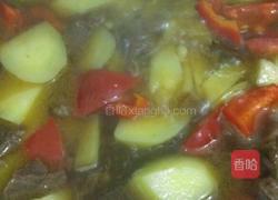 土豆炖牛肉的做法图解7