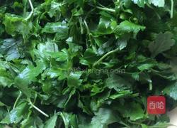 清炒菊花头的做法图解1
