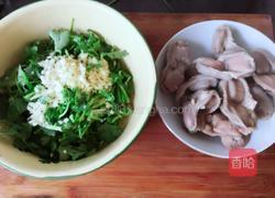 香菜拌鸭珍的做法图解7