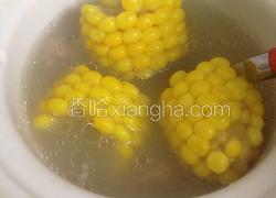 排骨玉米黄豆薏米汤