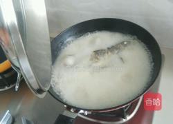豆腐鲫鱼汤的做法图解3