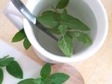 薄荷茶