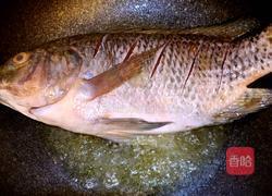 红烧鱼的做法图解4