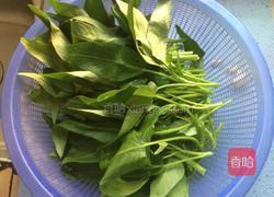 蒜香空心菜的做法图解2