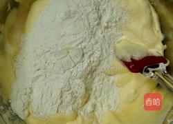 双莓蛋糕卷的做法图解9