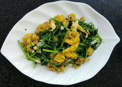 香菜鸡蛋～家常菜