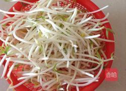 凉拌绿豆芽的做法图解1