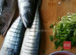 红烧腌鲅鱼的做法图解1