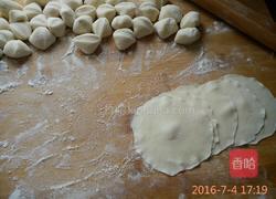 白萝卜羊肉馅饺子的做法图解9