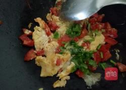 圣女果杂蔬鸡蛋炒饭的做法图解7