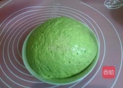 黄瓜汁手擀面的做法图解6