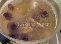 五指毛桃炖排骨