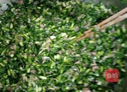 韭菜猪肉饺子的做法图解5