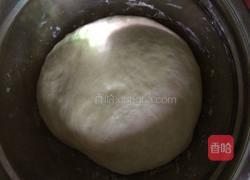 毛毛虫自制豆沙陷的做法图解5